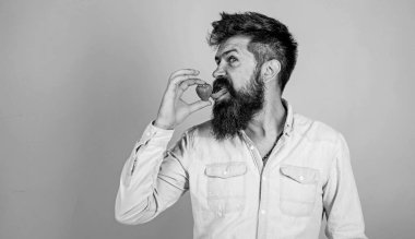 İşte yazın tadı böyle. Uzun sakallı, çilek dili yalayan yakışıklı bir hippi. Hippi sulu, olgun, kırmızı çileğin tadını çıkarır. Adam böğürtlen aromasını seviyor. Böğürtlen mevsimi. Ağız zevki