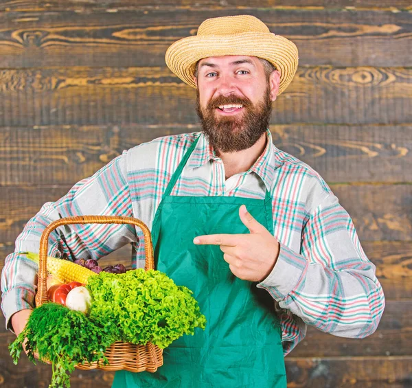 Verduras orgánicas frescas en canasta de mimbre. Hombre barbudo agricultor usar delantal presentando verduras fondo de madera. Farmer hipster sombrero de paja entregar verduras frescas. Granja entrega verduras frescas —  Fotos de Stock