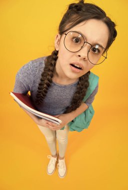 Okulda gelecek inşa ederiz. Meraklı çocuk okula geri döndü. Çocukluk eğitimi. Çocukluk gelişimi. Eğitim ve eğitim. Okul zamanı. Özel ders. Çocuklukta merakı cesaretlendirir.