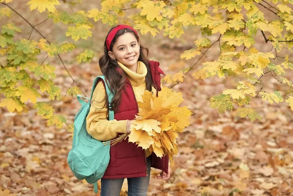 Perfetta giornata autunnale di allegro bambino con borsa scuola e acero foglie disposizione a piedi nel parco stagione autunnale con bel tempo, settembre — Foto Stock