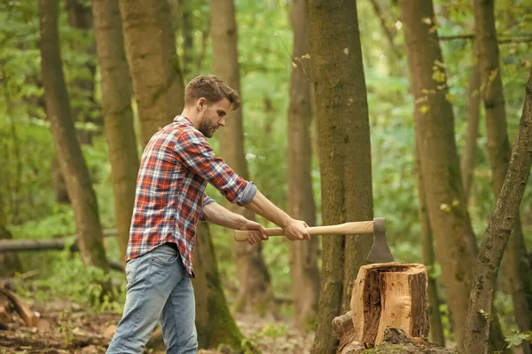 Leñador trozo de árbol cortado con hacha, al aire libre —  Fotos de Stock