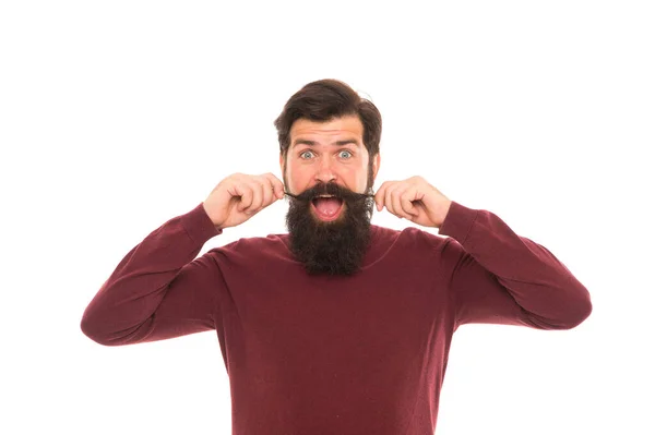 Estilo bigote. Hermoso modelo fondo blanco. Bigote largo. Bien arreglado hipster. Concepto de barbería. Cuidado facial del cabello. Hombre maduro barbudo hipster con barba larga y bigote. Creciendo bigote — Foto de Stock