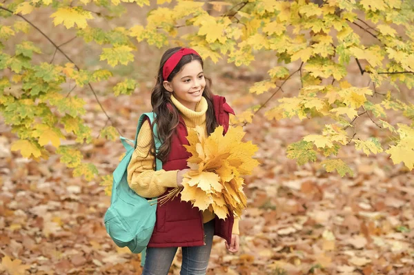 Anak bahagia dalam gaya santai menghabiskan waktu mengumpulkan daun maple jatuh di musim gugur taman menikmati cuaca yang baik membawa ransel, waktu luang — Stok Foto