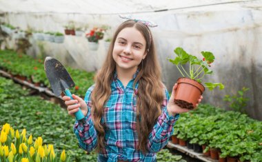 Hadi çalışalım. Bahçedeki çiçekler. Günlük ev işleri. Çiçek bakımı. Bahçecilik.