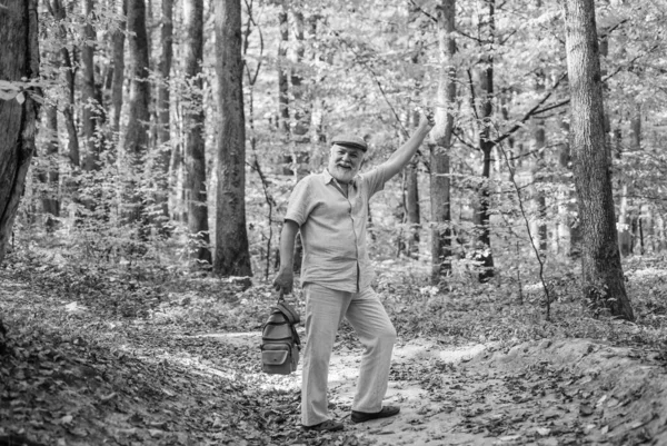 Doğa yürüyüşü çantalı büyükbaba. Doğayla bütünleşti. Doğada hafta sonu. Tatil ve rahatlama. Emeklilik konsepti. Yaşlılar. Ormanda beyaz sakallı olgun bir adam. Hobi ve eğlence. — Stok fotoğraf