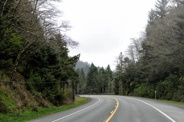 Estrada rodoviária entre a floresta. Estrada. Oregon estrada vazia. rota de verão. maneira de viajar com a natureza — Fotografia de Stock