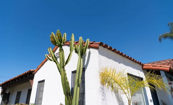 Casa de construção residencial com plantas de cacto no fundo céu azul, edifício — Fotografia de Stock