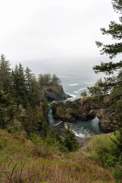 米国オレゴン州の岩だらけの海岸風景の海岸森林と海の景色 — ストック写真