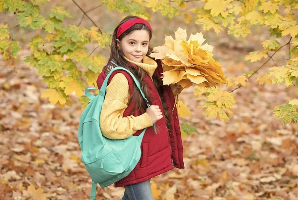 Perfetta giornata autunnale di allegra ragazza con borsa scolastica e acero lascia disposizione a piedi nel parco stagione autunnale con bel tempo, torna a scuola — Foto Stock