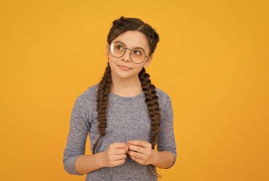 Gözlük takıyordu. Uzun saçlı, sarı kuyruklu şirin bir çocuk. Çocuk kızın güzel görünüşü. Sıradan giyinmiş küçük bir çocuk. Moda aksesuarı. Çocuk bakımı ve çocukluk. Uluslararası Çocuk Günü