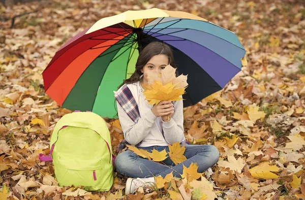 Gondtalan és boldog. gyermek pihenni őszi erdőben. őszi levelek a parkban. Vissza az iskolába. Élvezze a meleg szezonális időjárás. Boldog gyerek ül a színes esernyő alatt. lány hátizsák alatt eső elleni védelem — Stock Fotó