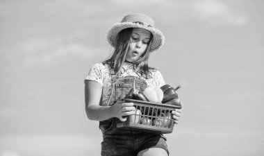 Ekin hasadı. Sepetteki sebzeler. Kız sevimli çocuk çiftçiliği. Hasat mevsimi. Doğal vitamin besin değeri. Çocuk arka planda hasat taşır. Ev yapımı sebzeler. Organik yiyecekler. Çiftlikte güneşli bir gün