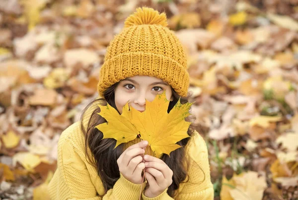 Ősszel kötött divat. Az inspiráció romantikus évszaka. Boldog gyermekkort. Tinédzser lány nyugi a parkban. őszi szépség. Élvezd a napot az erdőben. gyerek rendezés sárga juharfalevél — Stock Fotó