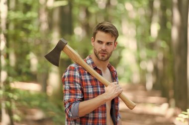 Sıradan bir gün. Ormanda kereste işçisi. Hafta sonunu ormanda piknik yaparak geçirmek. Adam baltayla odun kırmaya ve odun kesmeye hazır. Ağacı kesmeye hazırlanın. Yakacak odunları baltayla doğramak.