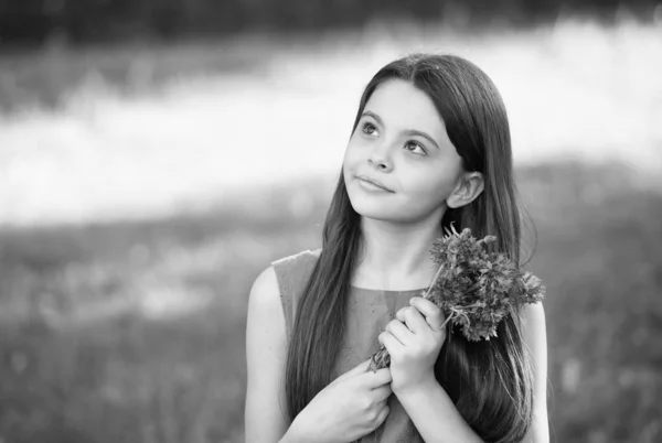 Menina vestido azul relaxar campo verde com flores de milho fresco, conceito filho sonhador — Fotografia de Stock