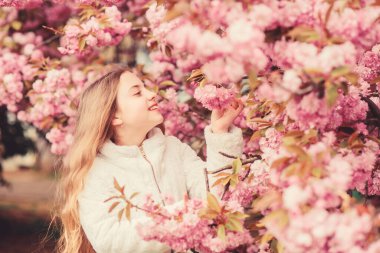 Çiçek kokluyorum. Çocuk ılık baharın tadını çıkarıyor. Çiçek aromasını seven bir kız. Sakura ağacının pembe çiçekleri üzerinde bir çocuk. Botanik konsepti. Kiraz çiçekli sakuranın tadını çıkaran bir çocuk. Yumuşak pembe bulutlar gibi çiçekler
