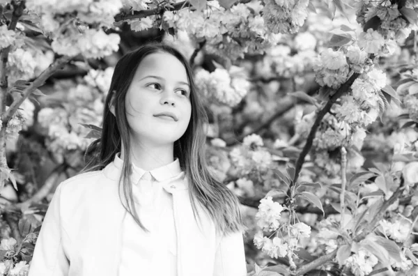 Menina apreciando flor de cereja ou sakura. Criança bonito desfrutar de dia quente de primavera. Conceito de flor aromática. Menina turista posando perto sakura. Flor suave. Criança em flores rosa de fundo de árvore sakura — Fotografia de Stock