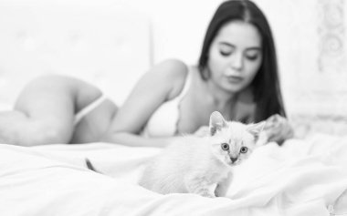 Lüks evdeki en iyi arkadaş. Kedi sever. Kadın moda iç çamaşırları. Sabahları saflık. Küçük kedi yavrusu yatakta seksi bir kızla. Seçici odaklanma. Şehvetli ve hassas. cinsel ön sevişme. özel bakım merkezi