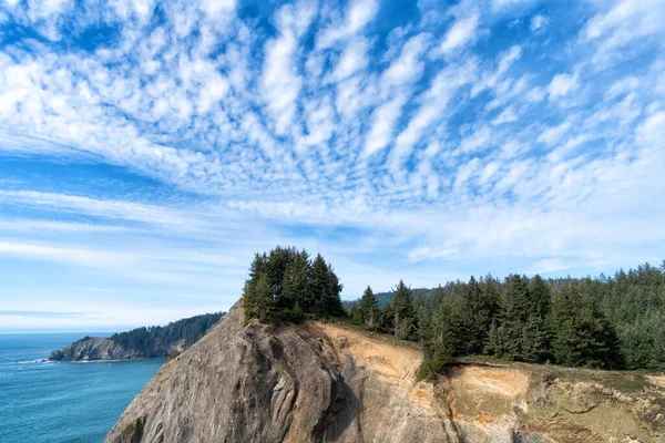 Breathtaking coastal view. Coastal forest in Oregon, USA. Sea cliff under cloudy sky. Scenic nature — ストック写真