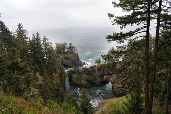 Beau paysage côtier. Coastal forest in Oregon, États-Unis. Côte rocheuse. Nature et paysages — Photo