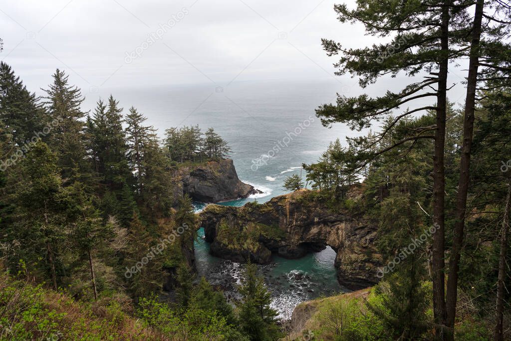 Beautiful coastal landscape. Coastal forest in Oregon, USA. Rocky sea coast. Nature and scenery