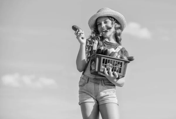 Verdure biologiche. Nutrizione naturale della vitamina. Mercato delle verdure. Ragazza agricoltura bambino carino. Raccolta di verdure nel cestino. Villaggio in stile rustico. Giornata di sole in fattoria. Vendere il concetto di cibo locale — Foto Stock