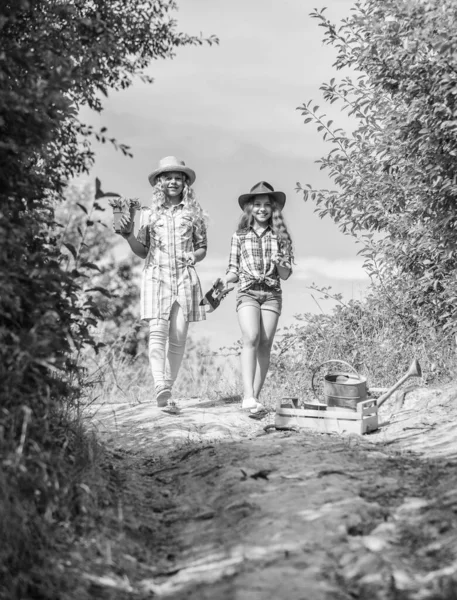 Mädchen mit Gartengeräten. Schwestern helfen auf dem Bauernhof. Auf dem Weg zum Familienbetrieb. Geschwisterkinder haben Spaß auf dem Bauernhof. Konzept der ökologischen Landwirtschaft. Landwirtschaftskonzept. Entzückende Mädchen mit Hüten gehen Pflanzen pflanzen — Stockfoto