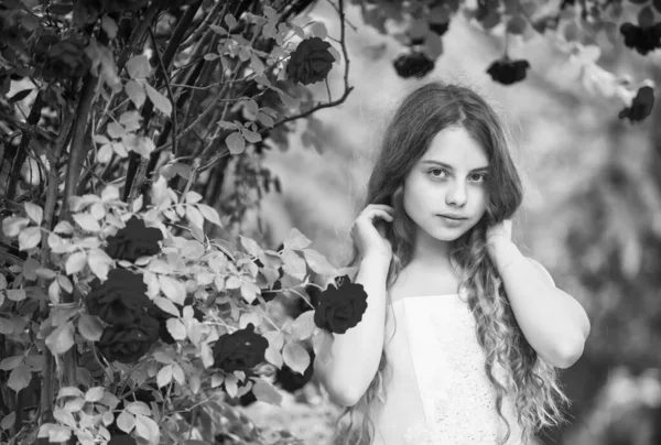Мечтательная девушка бальное платье в розовом саду, маленькая концепция принцессы — стоковое фото