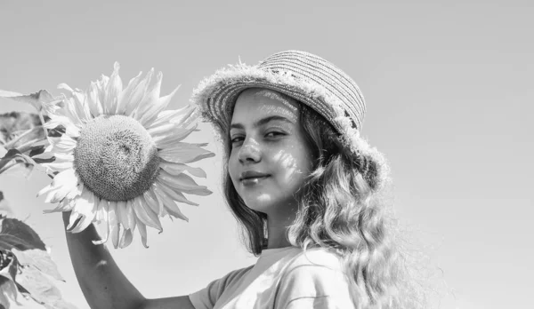 Klein meisje zonnebloemen veld blauwe hemel achtergrond, rustieke stijl — Stockfoto