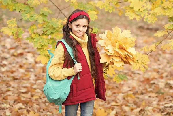 Bambino felice raccogliere foglie di acero giallo. teen girl portare lo zaino sulla strada per la scuola. passeggiata per bambini nella foresta o nel parco autunnale. autunno tempo stagionale. felicità infantile. bellezza e natura — Foto Stock