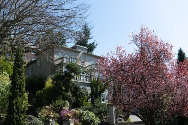 Lüks bir malikane güzel bahçeli, müstakil bir ev.