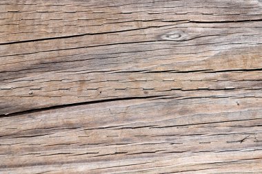 Kereste dokusu arkaplanı. Ağacın kesiti. Ağaç kabuğu. Kimseyle ahşap arka plan.