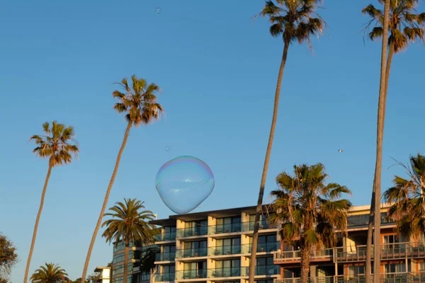 Soap bubble blower fly. bubble among palm trees near building. summer vacation. — Stockfoto