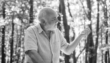 Sonbaharda sıcak havanın tadını çıkarıyorum. Yaşlı adam güneşli sonbahar gününün tadını çıkarıyor. Yaşlı emekliler güz yaprağı tutar. Sonbahar ya da sonbahar mevsimi. İdealist doğası. Doğa manzarası. Ahşap ortamı