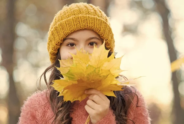 Szép napunk van. az őszi természet szépsége. Boldog gyerek kötött pulóvert visel. Tini lány gyűjtése lehullott levelek. gyermek séta őszi erdőben. Meleg ruha divat. szezonális időjárás. gyermekkori boldogság — Stock Fotó