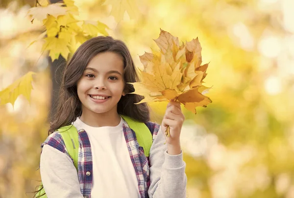 Boldog tizenéves gyermek játszik elesett juhar levelek őszi erdőben gyönyörű szezonális természet hordozzák iskolatáska, tanítási idő — Stock Fotó