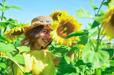 Ayçiçekleri arasında eğlenen kız mavi gökyüzü arkaplanı, doğayla birleşmiş.