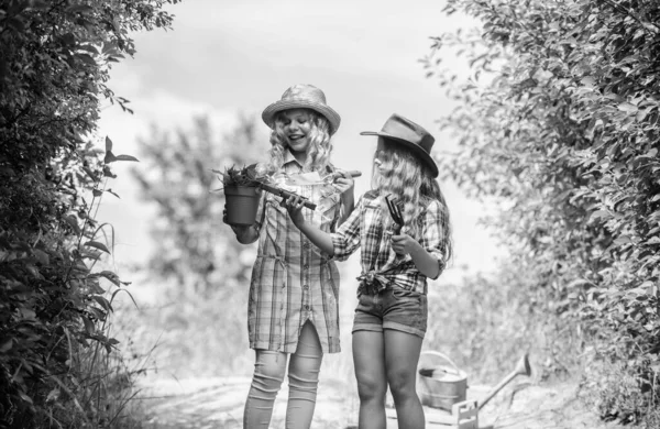 Şapkalı güzel kızlar çiçek dikmeye gidiyor. Çocuklar çiftlikte eğleniyor. Eko tarım konsepti. Bahçıvanlık aletleri olan kızlar. Kız kardeşler çiftliğe yardım ediyor. Aile çiftliğine gidiyoruz. Tarım kavramı — Stok fotoğraf