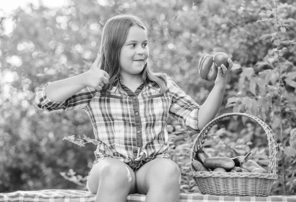 My favorite food. harvest vitamin. spring market garden. happy little farmer. autumn harvest. healthy food for children. small girl vegetable in basket. Only natural. kid on summer farm. Organic food — Stock Photo, Image