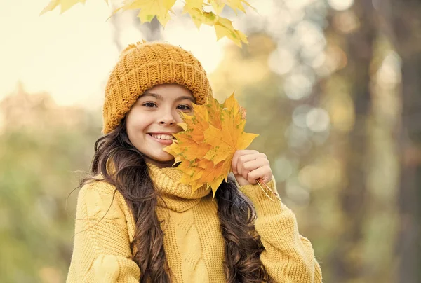 Grazioso bambino in maglia gialla maglione e cappello tenere foglia d'acero, autunno — Foto Stock