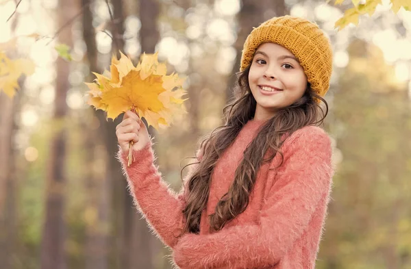 Souriant adolescent en tricot chapeau et pull tenir feuilles d'érable jaune dans la forêt du parc en automne saison avec un temps chaud, automne — Photo