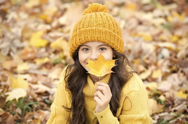 Szezonális időjárás. Gyerekkori boldogság. az őszi természet szépsége. Boldog gyerek pulóvert és kalapot visel. tini lány pihenni között lehullott levelek. gyermek séta őszi erdőben. Meleg ruha divat. Őszi stílus — Stock Fotó