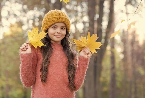 Beautiful kid with long hair hold yellow fallen maple leaves wearing knitted hat and warm sweater in autumn forest, nature beauty — Stock Photo, Image