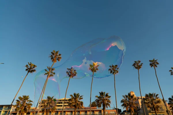 O ventilador da bolha do sabão voa no céu. paisagem urbana. bolha entre palmeiras perto do edifício. — Fotografia de Stock