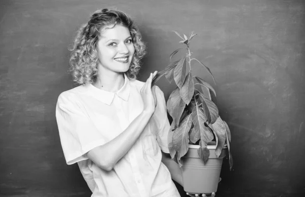 Árbol del conocimiento. ecología de aprendizaje escolar. educación ambiental. chica estudiante feliz con planta en pizarra. estudio de naturaleza escolar. profesora de gafas en la clase de biología. salvar el mundo —  Fotos de Stock