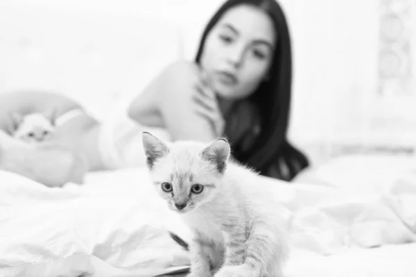 Kat en vrouw. Speel met poesje. Prachtig aantrekkelijk meisje ontspannen met schattige kittens. Vrouw perfect lichaam en kat. Sexy model spelen schattige kitten selectieve focus. Spelen met kat in bed. Speels huisdier — Stockfoto