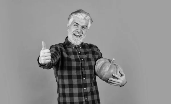 El granjero lleva calabaza grande. Receta de cocina. Cosecha en el jardín. Calabaza de cosecha propia. Come sano. Agricultura ecológica. Granja familiar. Hombre barbudo granjero rústico presentando verduras. Agricultura y agricultura —  Fotos de Stock