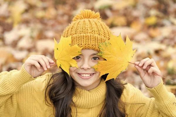 Bel sorriso d'autunno. Ragazza felice giocare con foglie gialle. Piccolo sorriso bambino il giorno d'autunno. Sorriso sano e naturale. Odontoiatria estetica. Sentirsi fiduciosa nel suo sorriso — Foto Stock