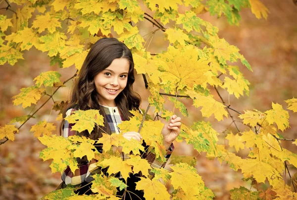 黄色のカエデの葉の笑顔の女の子秋 — ストック写真