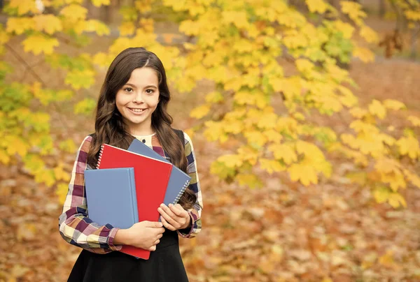 Niño feliz celebrar cuadernos escolares y libros, la educación — Foto de Stock